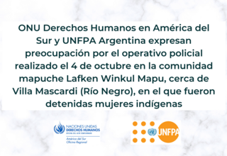 Argentina: Agencias ONU expresan preocupación por las detenciones de mujeres indígenas