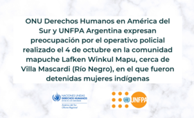 Argentina: Agencias ONU expresan preocupación por las detenciones de mujeres indígenas