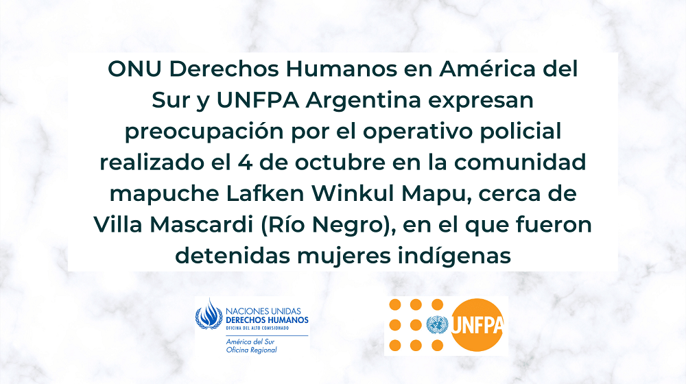 Argentina: Agencias ONU expresan preocupación por las detenciones de mujeres indígenas