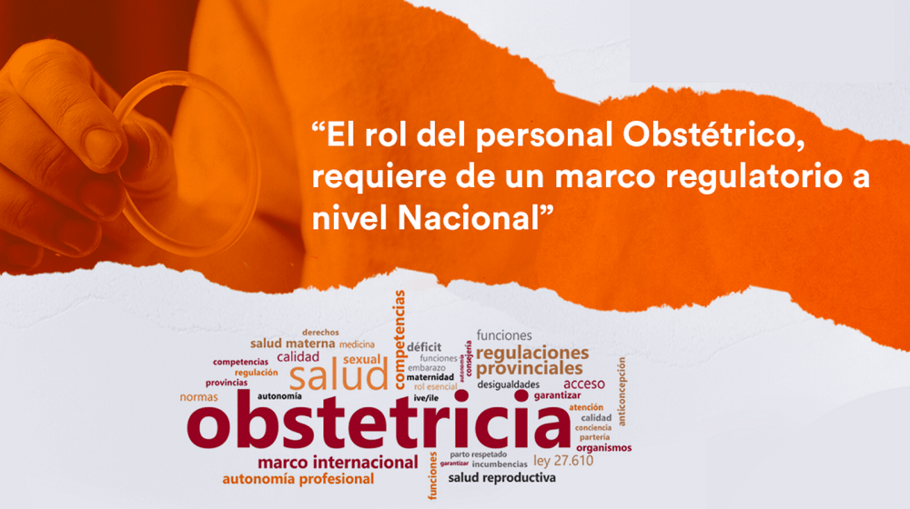 Impulsan un proyecto de ley para regularizar el ejercicio de la Obstetricia