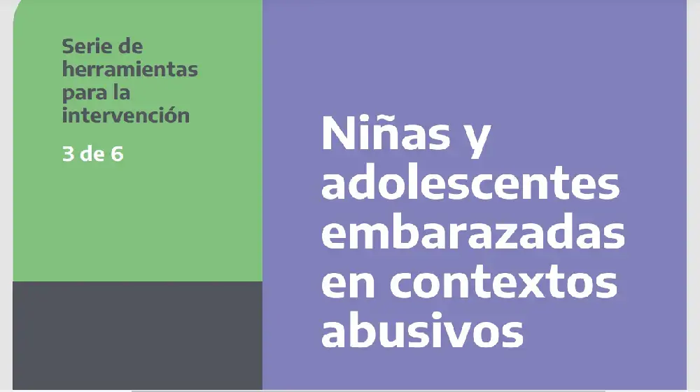 Niñas y adolescentes y embarazadas en contextos abusivos. Responsabilidades legales e institucionales de los equipos de salud. Herramienta 3 de 6