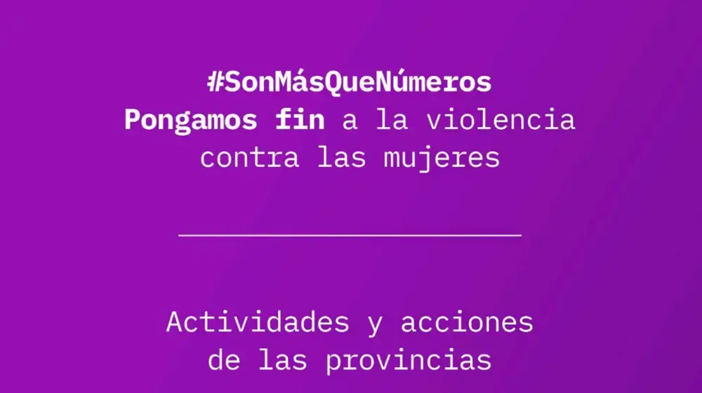 25N: Actividades y políticas desarrolladas por las provincias argentinas