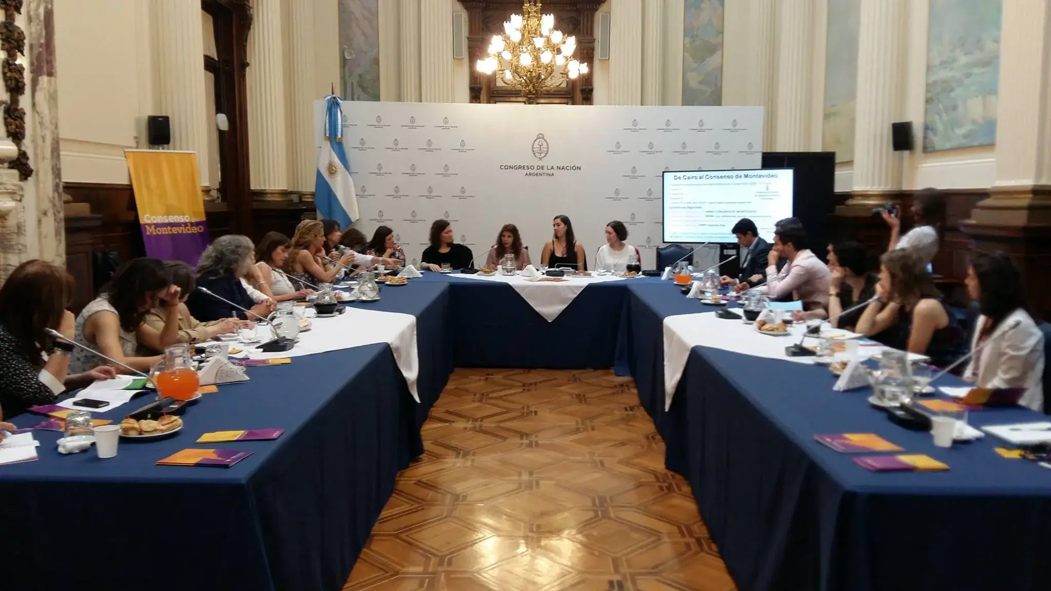 Reunión informativa sobre el Consenso de Montevideo en el Congreso de la Nación