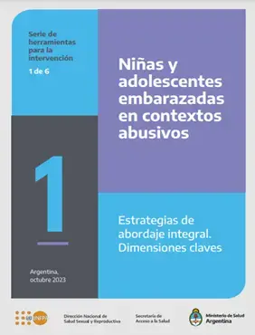 Niñas y adolescentes y embarazadas en contextos abusivos. Estrategias de abordaje integral. Dimensiones claves. Herramienta 1 de 6