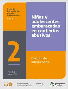 Niñas y adolescentes y embarazadas en contextos abusivos. Circuito de intervención Herramienta 2 de 6