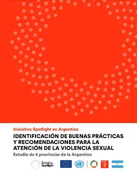 Identificación de buenas prácticas y recomendaciones para la atención de la violencia sexual. Estudio de 5 provincias de la Argentina