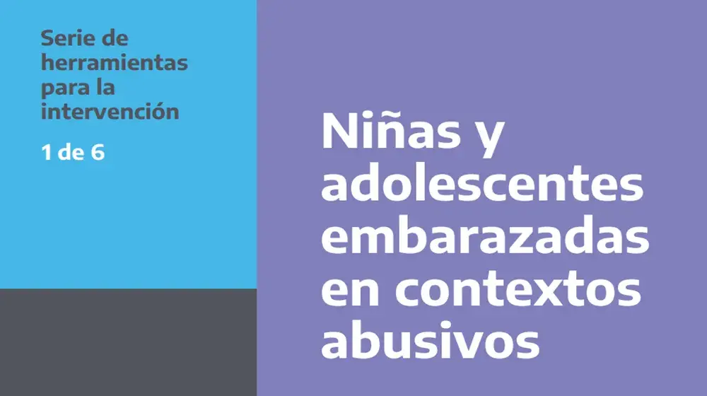 Niñas y adolescentes y embarazadas en contextos abusivos. Estrategias de abordaje integral. Dimensiones claves. Herramienta 1 de 6