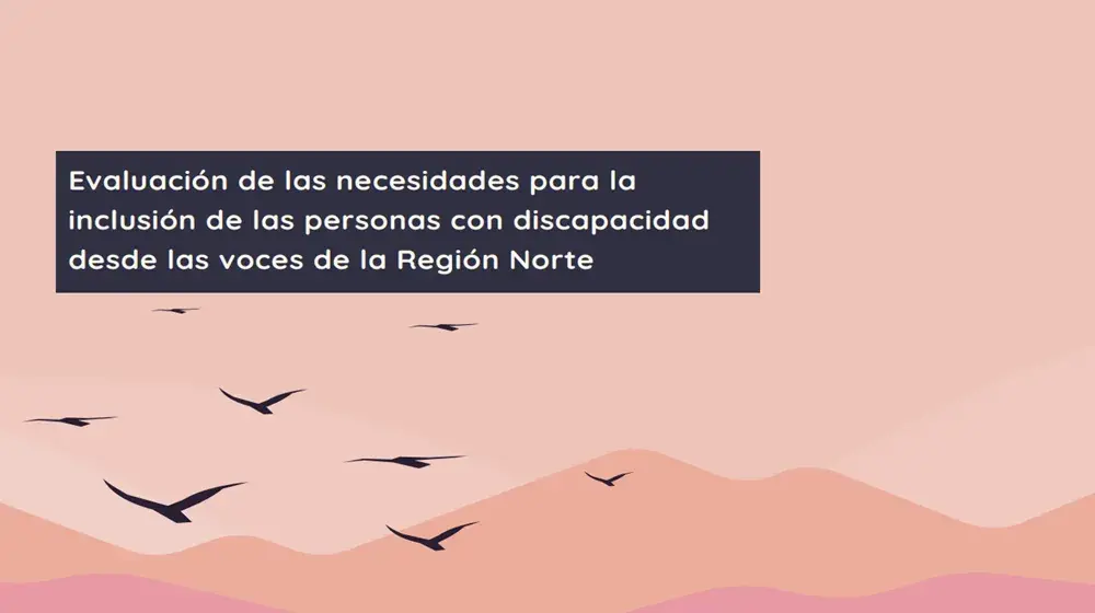 Evaluación de las necesidades para la inclusión de las personas con discapacidad desde las voces de la Región Norte