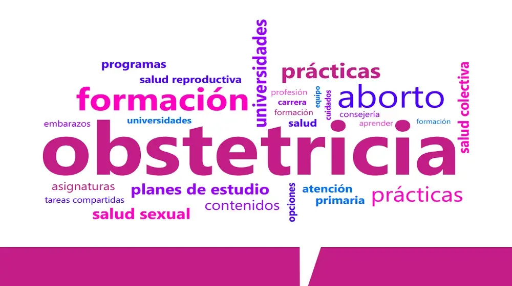 La formación de grado en obstetricia en Argentina: una exploración de planes y programas de estudio