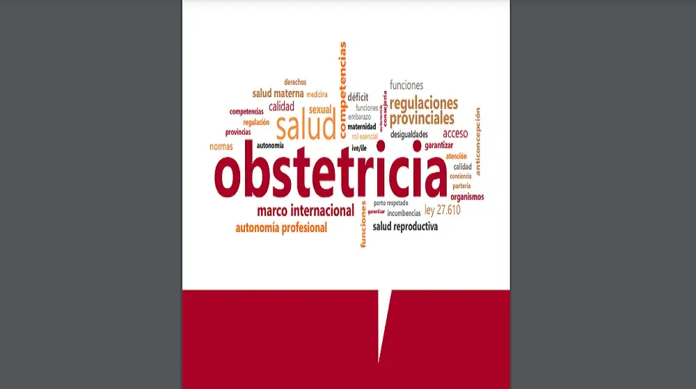 Fortalecimiento de las competencias y funciones de las obstétricas-os en la Argentina: un tema estratégico